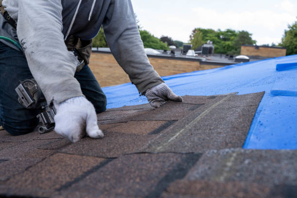 Best Roof Gutter Cleaning  in Mercer Island, WA